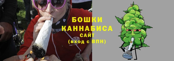 соль ск Арсеньев
