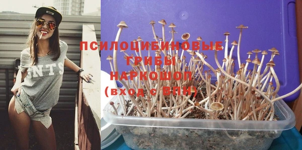 соль ск Арсеньев